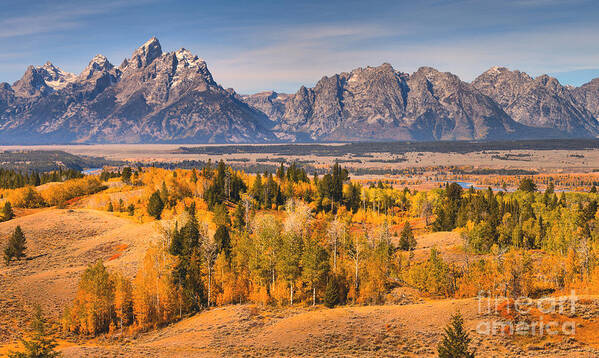 Teton Art Print featuring the photograph Fall Foliage In The Teton Valley by Adam Jewell