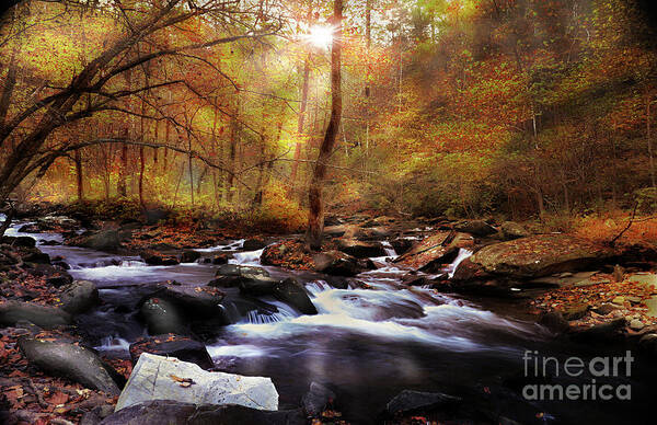 Fall Colors Art Print featuring the photograph Fall Indeed by Rick Lipscomb