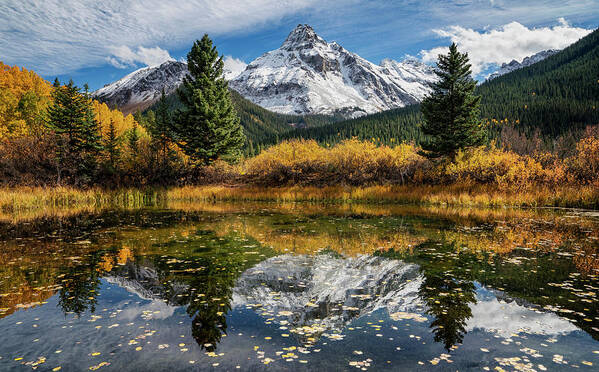 Fall Art Print featuring the photograph Fall Reflection by David Soldano