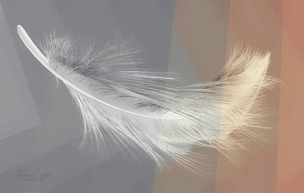 Feathers Art Print featuring the photograph Feather Interrupted by Rene Crystal