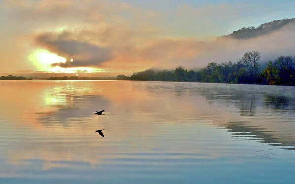 Sunrise In Winona Art Print featuring the photograph Foggy Flight by Susie Loechler