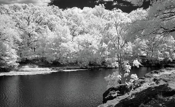 Watchung Mountains Art Print featuring the photograph Garret Mountain Reservation by Anthony Sacco