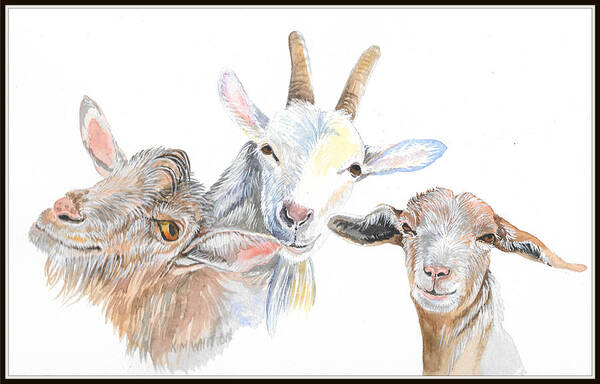 Goats Art Print featuring the painting Greatest of All Time by Kim Whitton