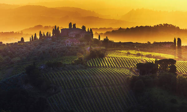 Italy Art Print featuring the photograph Golden Tuscany by Evgeni Dinev