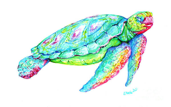 Turtle Art Print featuring the painting Key West Turtle 2 Study by Shelly Tschupp