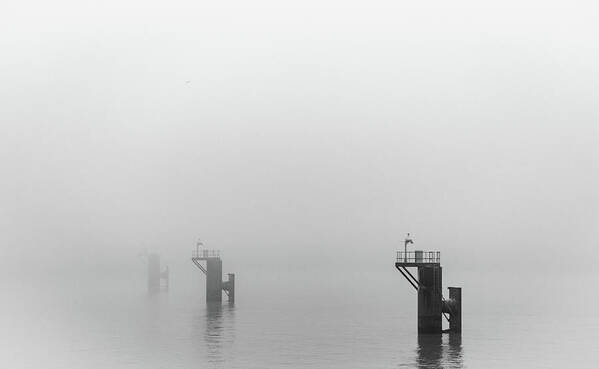 Mooring Art Print featuring the photograph Mooring Dolphins in the Fog by Gavin Lewis
