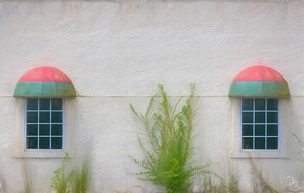 Exterior Wall Art Print featuring the photograph Pastel Wall by Dee Browning