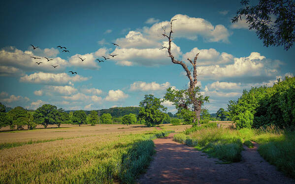 Landscape Art Print featuring the photograph Path 2 by Remigiusz MARCZAK