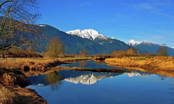 Alex Lyubar Art Print featuring the photograph Pitt Lake Valley provincial park by Alex Lyubar