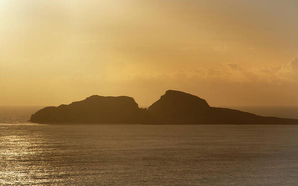 Puffin Art Print featuring the photograph Puffin Island Sundown by Mark Callanan