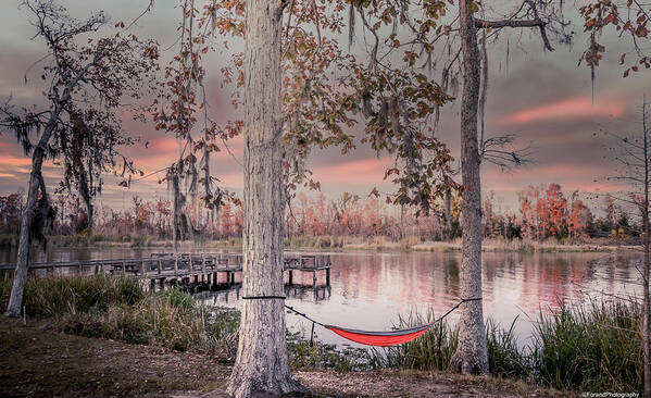 Relax Art Print featuring the photograph Relax by Debra Forand
