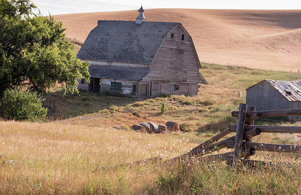 Farm Art Print featuring the photograph Rural Barn in the Wheat Fields by Connie Carr