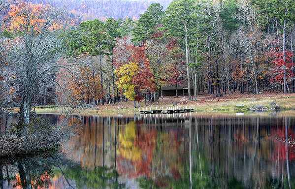  Art Print featuring the photograph Shady Lake in the Fall by William Rainey