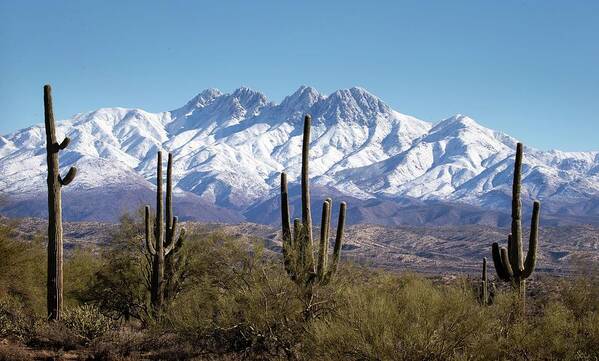 Snow-covered Four Peaks Wilderness Area Art Print