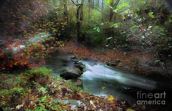River Art Print featuring the photograph Solitude by Rick Lipscomb