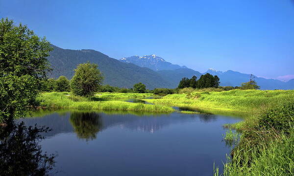 Alex Lyubar Art Print featuring the photograph Spring in Pitt Lake Valley by Alex Lyubar