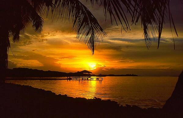 Sunset Art Print featuring the photograph Sunset on Roatan by Stephen Anderson