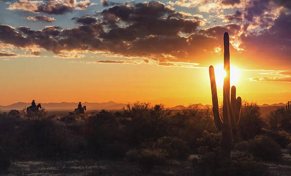 Saguaro Sunset Art Print featuring the photograph Sunset Ride by Saija Lehtonen