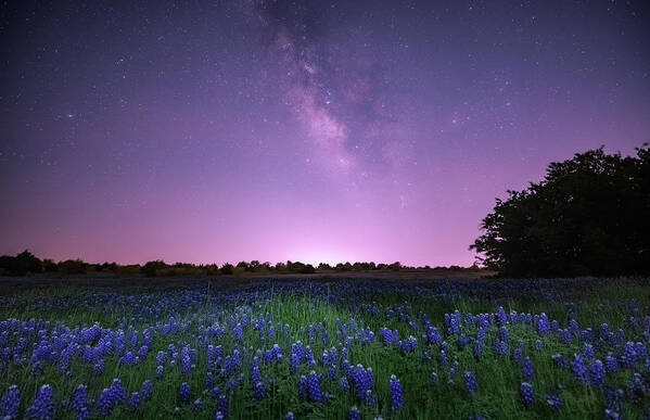 Texas Art Print featuring the photograph Sweet Dreams Are Made of These by KC Hulsman