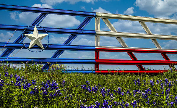 Texas Art Print featuring the photograph Texas Flag Painted Gate with Blue Bonnets by Robert Bellomy