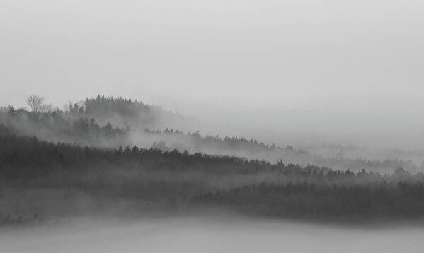 The Foggy Forest Art Print by Martin Vorel Minimalist Photography - Martin  Vorel Minimalist Photography - Website