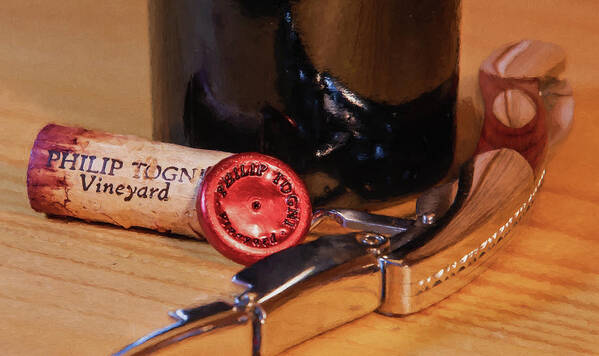 Cabernet Sauvignon Art Print featuring the photograph Togni Wine 2 by David Letts