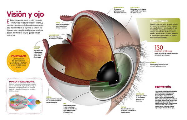 Ciencia Art Print featuring the digital art Vision y ojo by Album