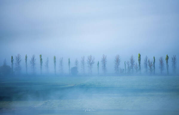 Yarra Valley Mist Art Print featuring the photograph Yarra Valley Mist by Vicki Walsh