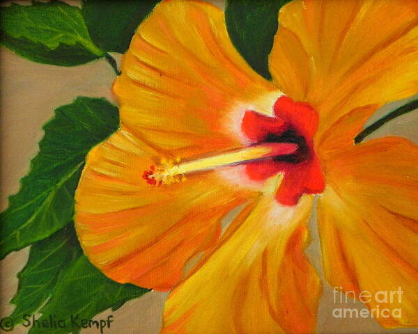Art Art Print featuring the painting Golden Glow - Hibiscus Flower by Shelia Kempf
