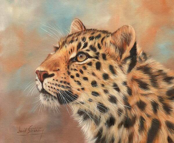 Leopard Art Print featuring the painting Amur Leopard #1 by David Stribbling