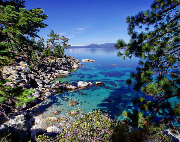 California Art Print featuring the photograph Lake Tahoe Swimming Hole #1 by Scott McGuire