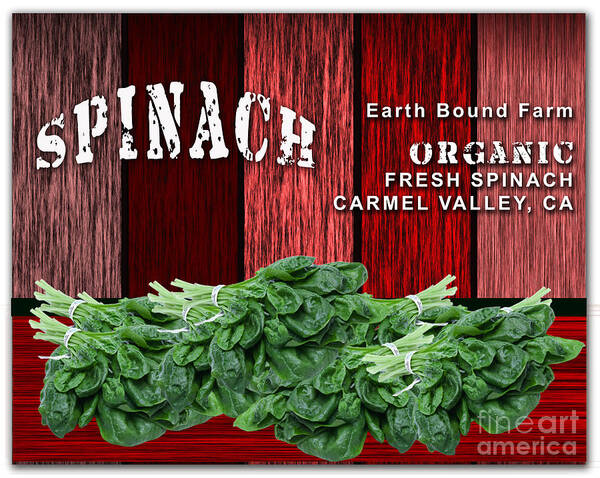 Spinach Photographs Art Print featuring the mixed media Spinach Patch #1 by Marvin Blaine