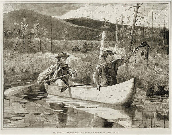 Winslow Homer Art Print featuring the painting Trapping in the Adirondacks #1 by Winslow Homer