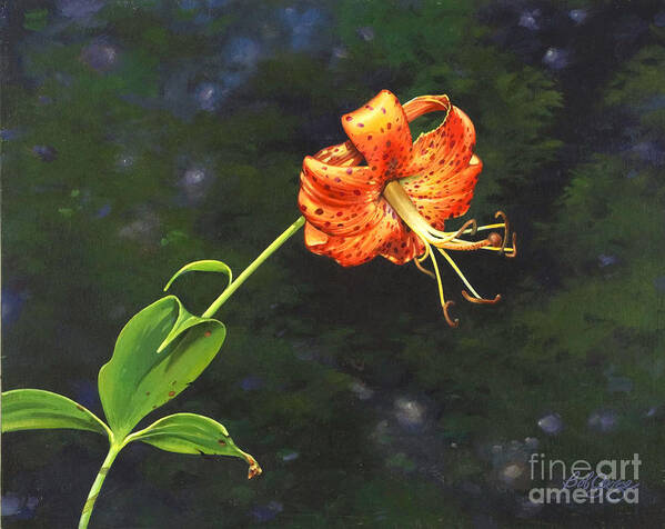Turk's Cap Painting Art Print featuring the painting Turk's Cap #1 by Bob George