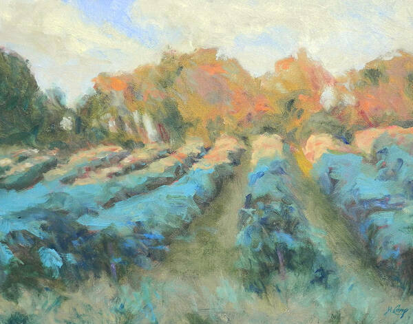 Landscape Art Print featuring the painting Vineyard Evening by Michael Camp