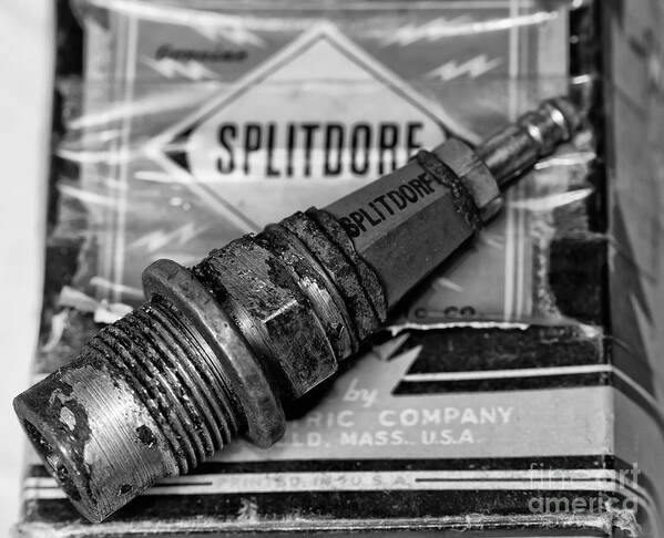 Sparkplugs Art Print featuring the photograph Vintage Sparkplugs by Wilma Birdwell