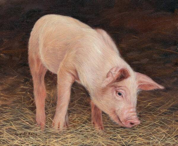 Pig Art Print featuring the painting Pig #3 by David Stribbling