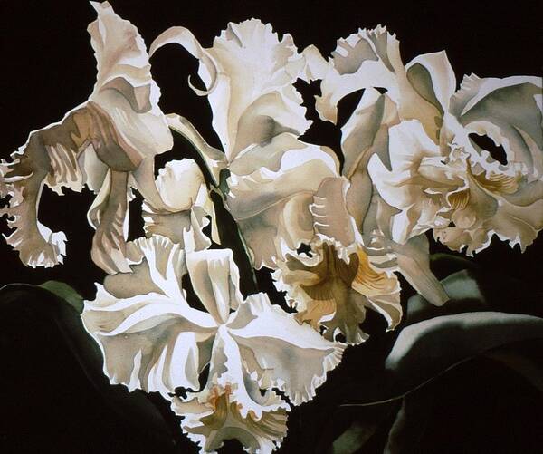 Flower Art Print featuring the painting white Cattleya orchids #1 by Alfred Ng