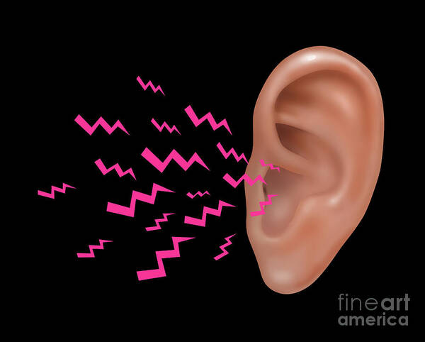 Illustration Art Print featuring the photograph Sound Entering Human Outer Ear by Gwen Shockey