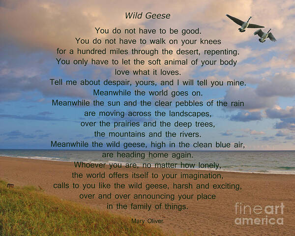 Wild Geese Art Print featuring the photograph 40- Wild Geese Mary Oliver by Joseph Keane