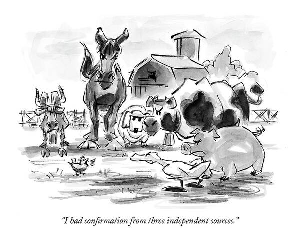 Fictional Characters Domestic Animals The Sky Is Falling Word Play

(chicken Little To Other Angry Barnyard Animals.) 121656 Llo Lee Lorenz Portfolio Art Print featuring the drawing I Had Confirmation From Three Independent Sources by Lee Lorenz