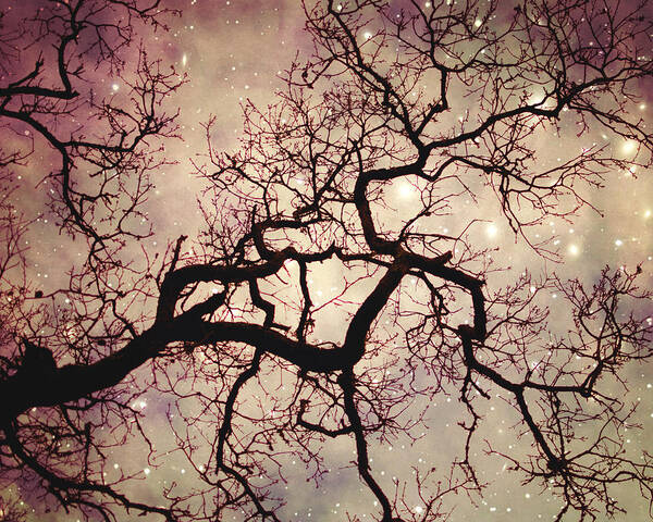 Tree Art Print featuring the photograph A kind of magic by Lupen Grainne