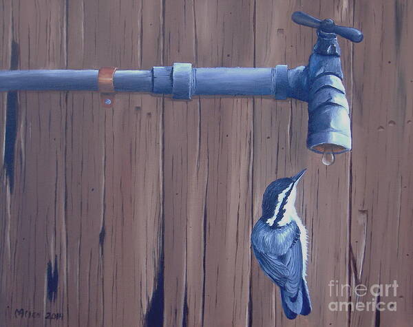 Nuthatch Art Print featuring the painting A Little Sip by Michael Allen