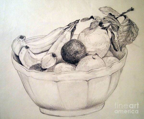 Pencil Drawing Art Print featuring the drawing A Medley of Fruit by Nancy Kane Chapman