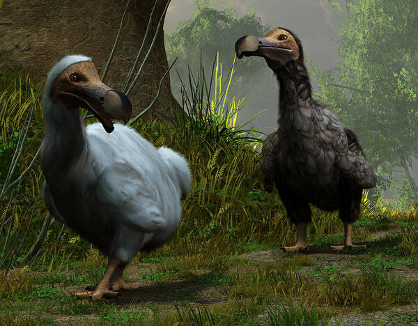 Dodo Art Print featuring the digital art A Pair of Dodos by Daniel Eskridge