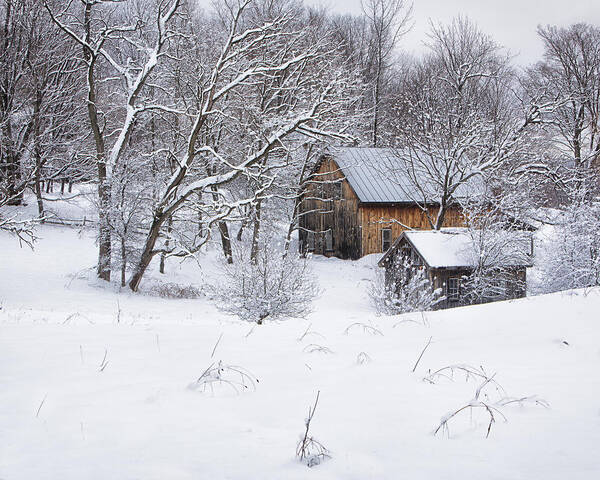 Vermont Art Print featuring the photograph Vermont Winter Scene by John Vose