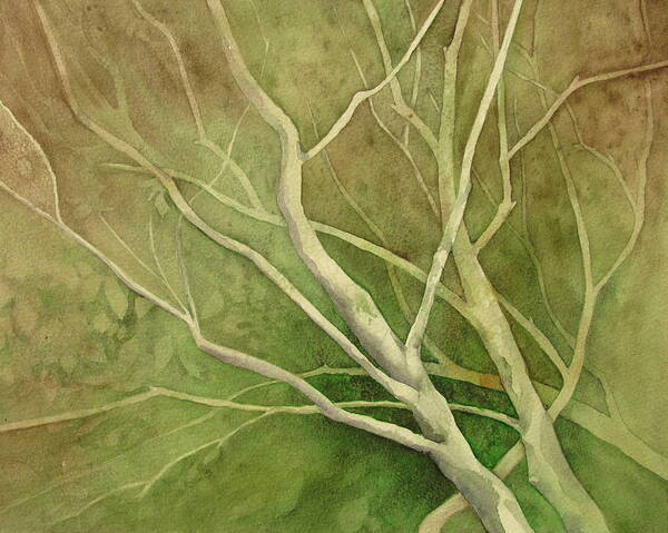 Trees Art Print featuring the painting American Hornbeam by Amanda Amend