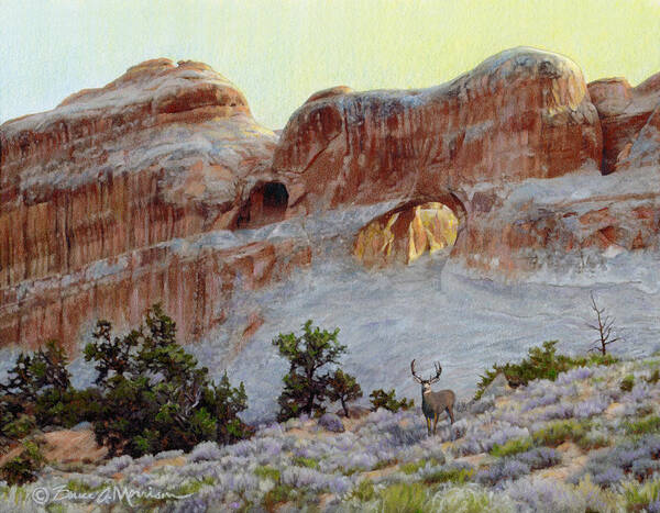 Arches National Park Art Print featuring the drawing Arches Mulie by Bruce Morrison