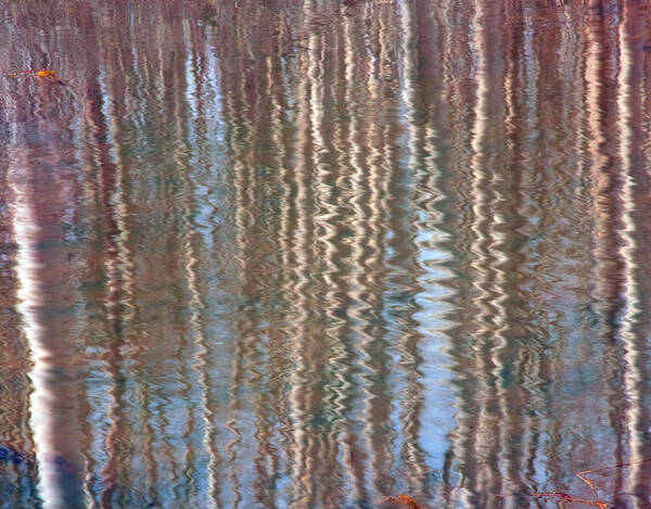 Water Art Print featuring the photograph Aspen Reflection by Eric Rundle