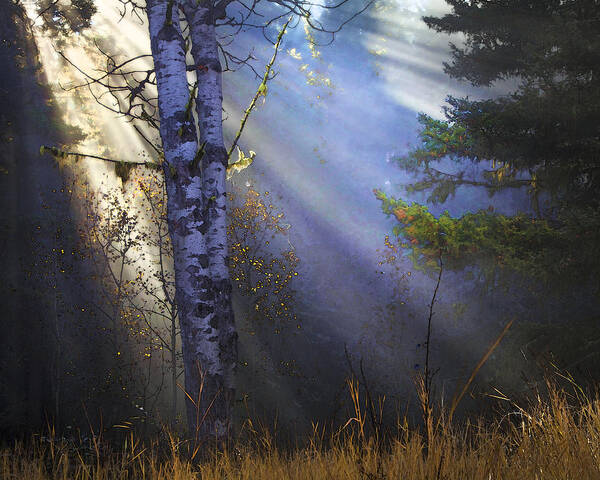 Fantasy Forest Art Print featuring the photograph Autumn Fog With Sun Rays by Theresa Tahara